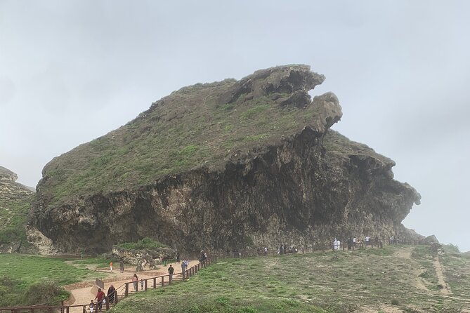 Private Guided Tour to West Beaches of Salalah - Reviews and Ratings