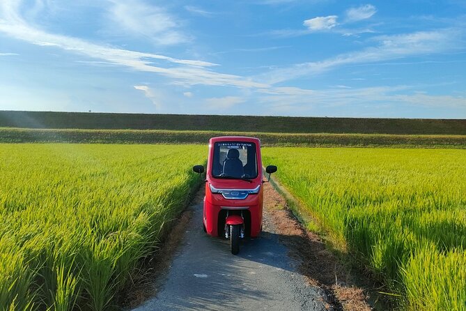 Private Guided Tour With a Rental Electric Bike or Tuktuk in Ise - Accessibility and Policies