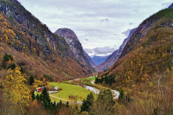 PRIVATE GUIDED TOUR: World Heritage Fjord Landscape – Viking Special – From Flåm - Accessibility and Participation