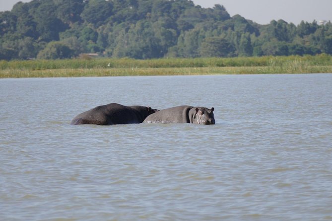 Private Guided Tours To Bahir Dar Lake Tana Monastery & Blue Nile Waterfalls - Key Points