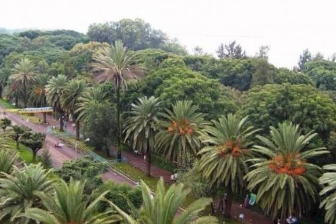 Private Guided Tours To Bahir Dar Lake Tana Monastery & Blue Nile Waterfalls - Best Times to Visit