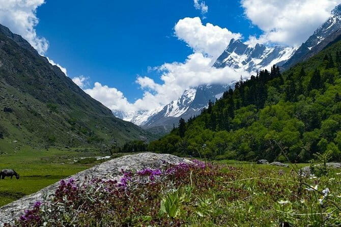 Private Guided Trek to Kunjapuri Temple & Waterfall at Sunrise - Final Recommendations