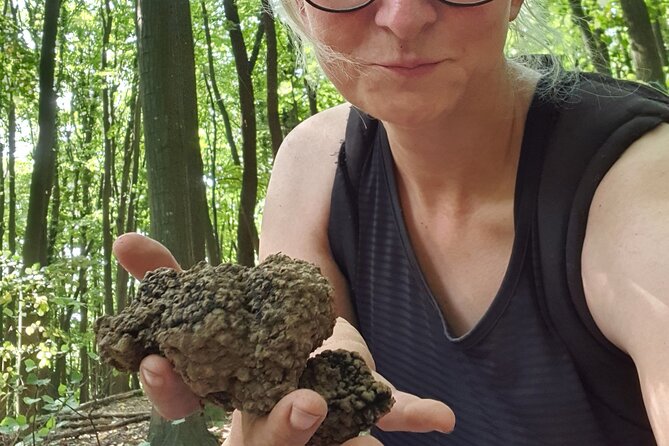 Private Guided Truffle Hunting Tour in Serbia With Lunch - Truffle Hunting Experience