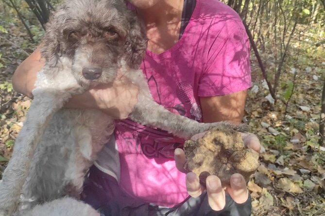 Private Guided Truffle Hunting Tour in Serbia With Lunch - Truffle-Infused Lunch