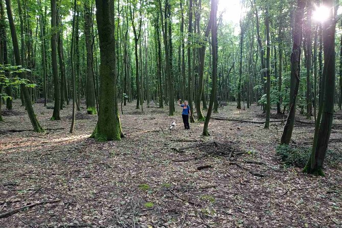 Private Guided Truffle Hunting Tour in Serbia With Lunch - Local Wine Pairing