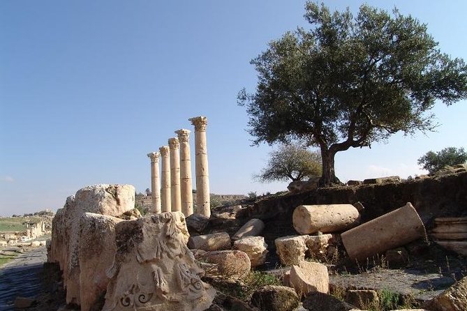 Private Guided Umm Quais and Jerash Tour With Lunch - Whats Included