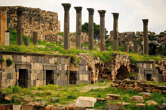 Private Guided Umm Quais and Jerash Tour With Lunch - Customer Reviews