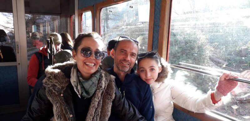 Private Guided Visit of the Mer De Glace - Train Journey to the Glacier