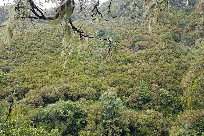 Private Guided Walk Levada 25 Fontes - Booking Details