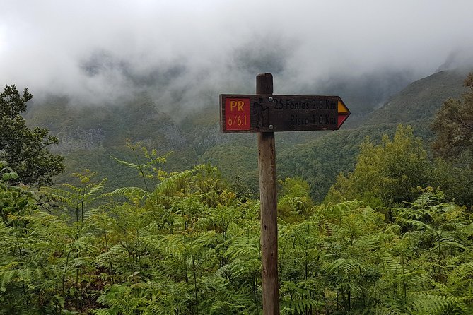 Private Guided Walk Levada 25 Fontes - Exploring the Levada 25 Fontes