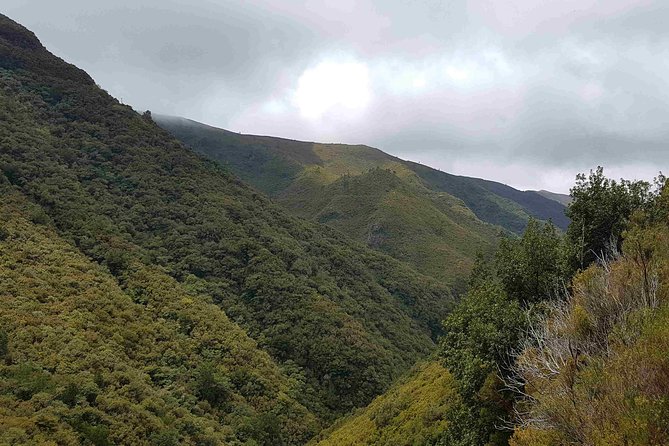 Private Guided Walk Levada 25 Fontes - Post-Hike Lunch Option