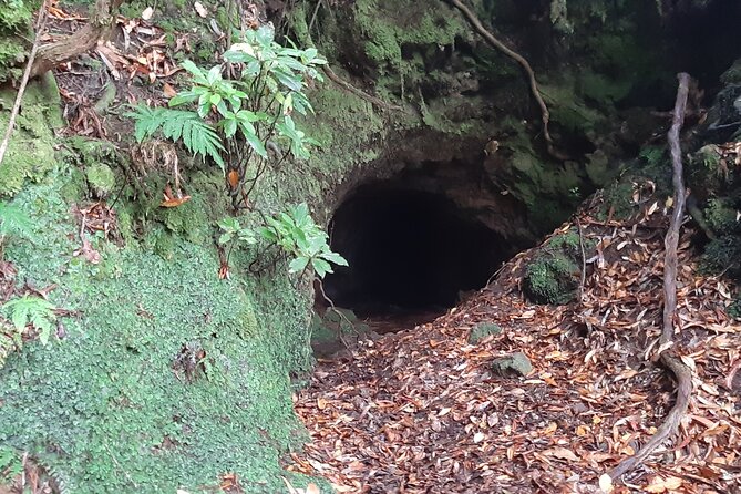 Private Guided Walk Levada Brasileiro – Levada Do Moinho - Tour Logistics