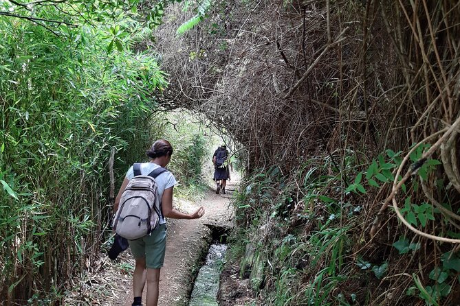 Private Guided Walk Levada Brasileiro – Levada Do Moinho - Guest Reviews
