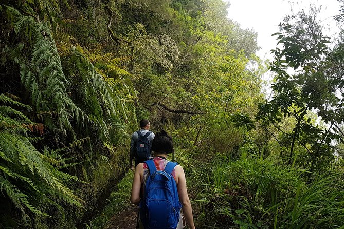 Private Guided Walk Levada Caldeirao Verde - Scenic Vistas and Trails