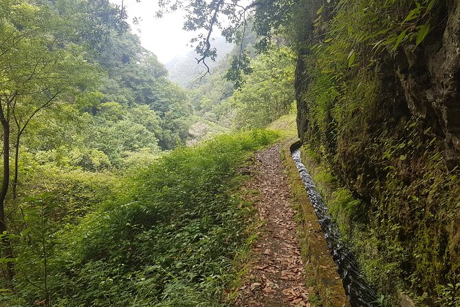 Private Guided Walk Levada Castelejo - Inclusions