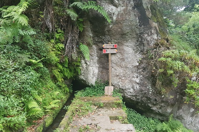 Private Guided Walk Levada Castelejo - Participation Details