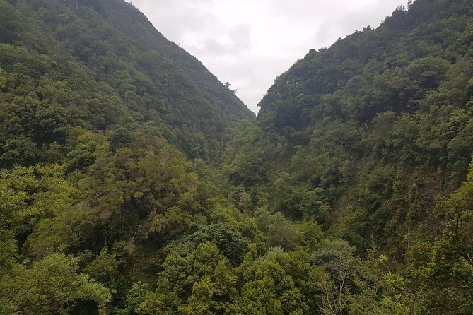 Private Guided Walk Levada Castelejo - Exploring the Trail