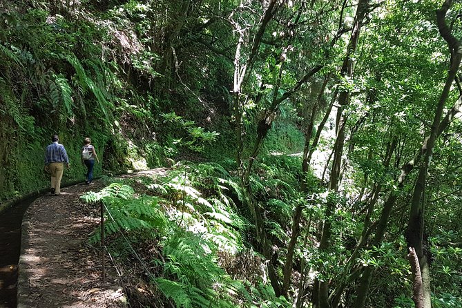 Private Guided Walk Levada Do Rei - Personalized and Private Tour Experience