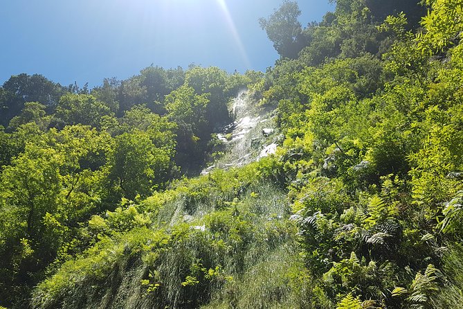 Private Guided Walk Levada Do Rei - Accessibility and Clothing Requirements