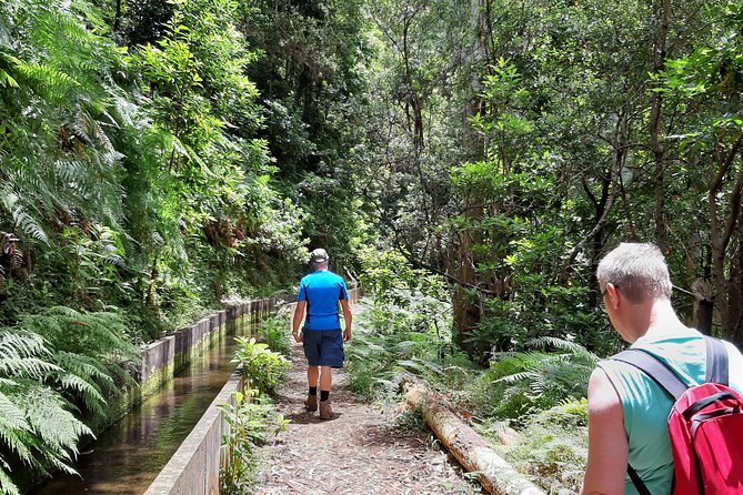 Private Guided Walk Levada Faja Dos Rodrigues Half-Day - About Your Stay