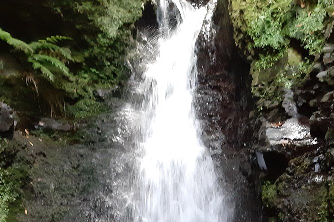 Private Guided Walk Levada Faja Dos Rodrigues Half-Day - Participation Requirements