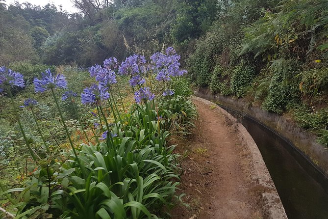 Private Guided Walk Levada Monte to Palheiro Ferreiro - Exploring Palheiro Ferreiro