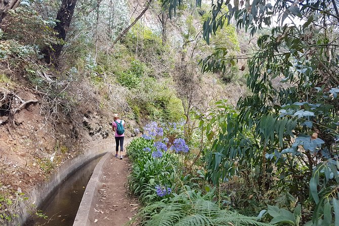 Private Guided Walk Levada Monte to Palheiro Ferreiro - Optional Lunch and Refreshments