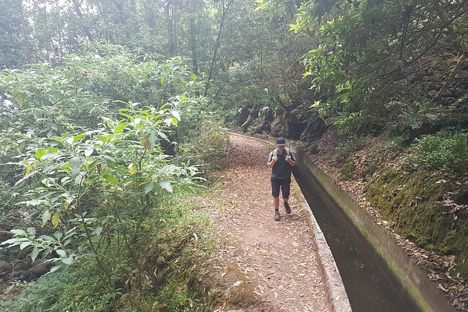 Private Guided Walk Levada Monte to Palheiro Ferreiro - Booking Information and Confirmation