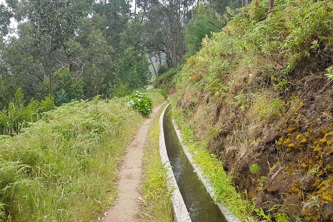 Private Guided Walk Levada Ponta Do Pargo - Pickup Information