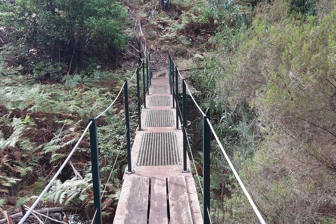 Private Guided Walk Levada Ponta Do Pargo - Tour Conditions