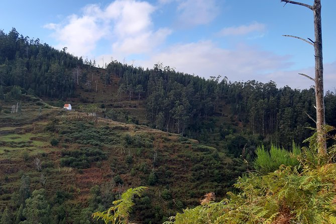 Private Guided Walk Levada Ponta Do Pargo - Landscape and Scenery
