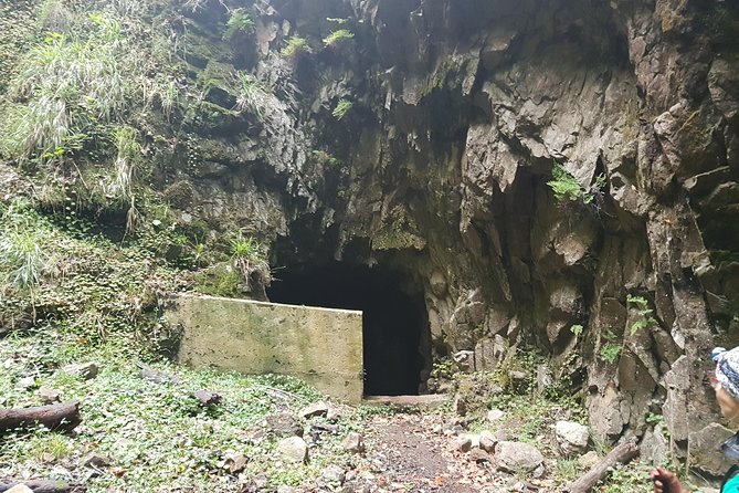 Private Guided Walk Levada Ribeira Da Janela - Inclusions