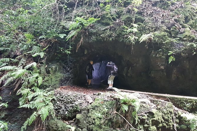 Private Guided Walk Levada Ribeira Da Janela - Tour Participation