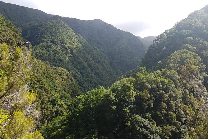 Private Guided Walk Levada Ribeira Da Janela - Customer Feedback