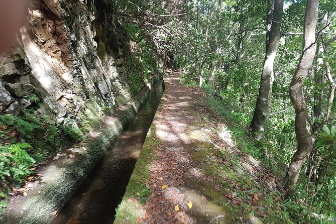 Private Guided Walk Levada Ribeira Da Janela - Discovering Levada Ribeira Da Janela