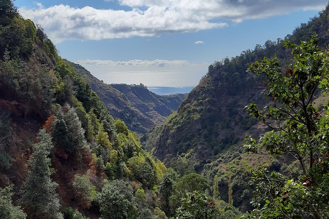 Private Guided Walk Ponta Do Sol Levada Moinho - Tour Features