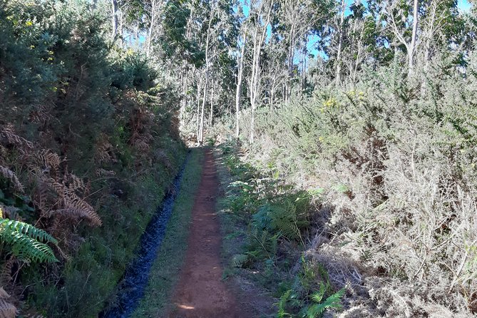 Private Guided Walk Porto Moniz Levada Do Moinho - Landscape and Scenery