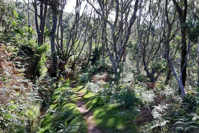 Private Guided Walk Porto Moniz Levada Do Moinho - Pickup and Participant Information