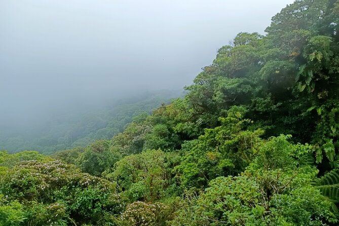 Private Guided Walk to the Santa Elena Cloud Forest Reserve - Accessibility and Restrictions