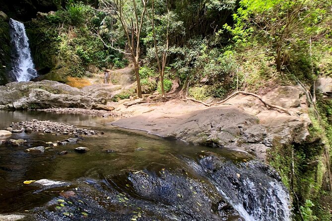 Private Guided Waterfall Hike Rainforest Adventure - Location and Accessibility