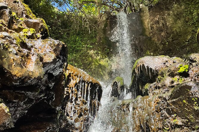 Private Guided Waterfall Hike Rainforest Adventure - Included Amenities
