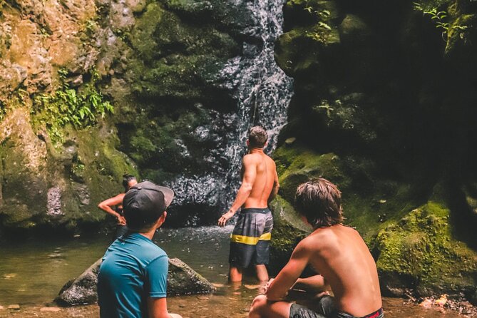 Private Guided Waterfall Hike Rainforest Adventure - Meeting and End Points