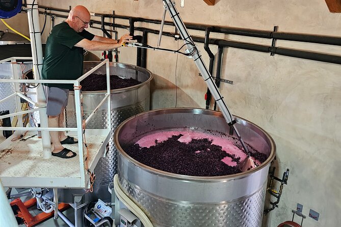 Private Guided Wine Tour of Napa Valley - Immersive Winery Experiences