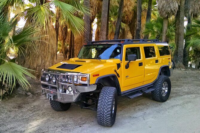 Private H2 Hummer for up to 6 in Joshua Tree National Park - The Value of a Private, Customized Tour
