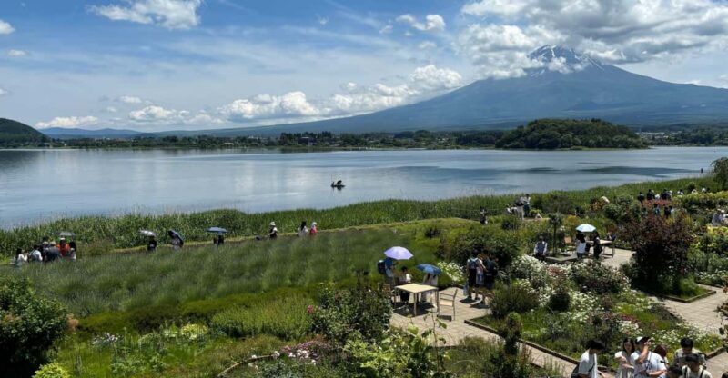 Private: Hakone and Kawaguchi in One Day. - Exploring the Owakudani Valley