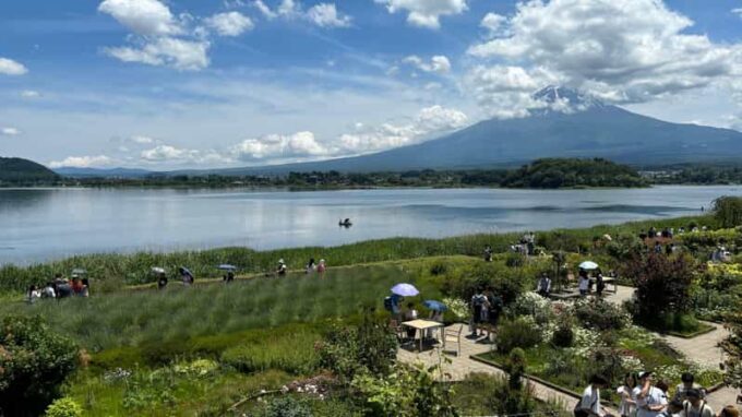 Private: Hakone and Kawaguchi in One Day. - Kitaguchi-hongu Fuji Sengen Shrine and Oshino Hakkai