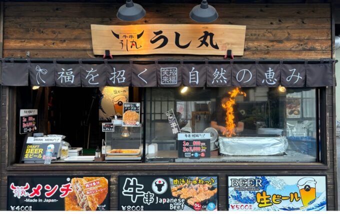 Private: Hakone and Kawaguchi in One Day. - Return to Shibuya, Tokyo