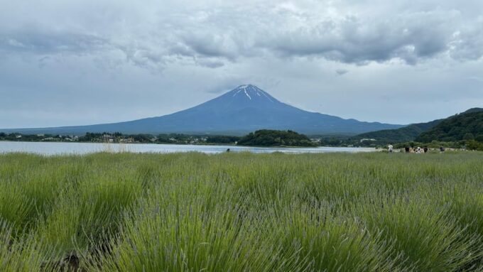 Private: Hakone and Kawaguchi in One Day. - Frequently Asked Questions