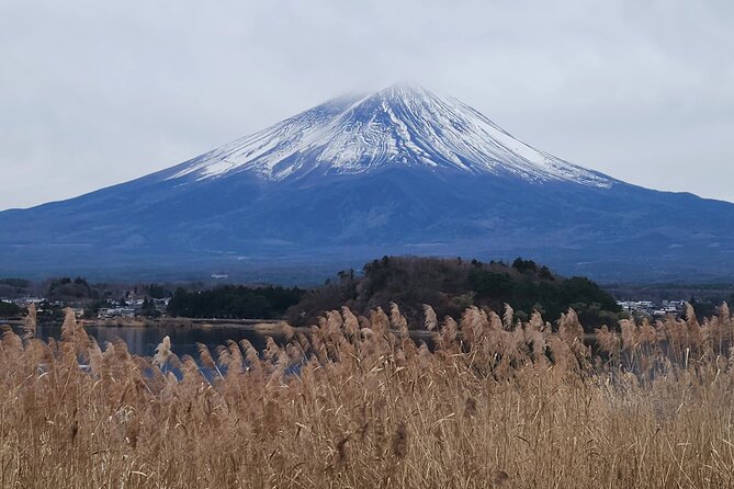 Private Hakone Mt Fuji Tour With English Speaking Driver - Inclusions