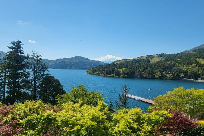 Private Hakone Tour From Tokyo - Inclusions and Fees